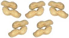 Erdnüsse-5x2.jpg